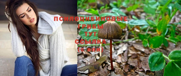 дживик Балахна