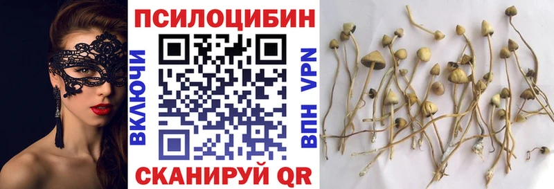 как найти наркотики  Белоозёрский  Псилоцибиновые грибы мицелий 